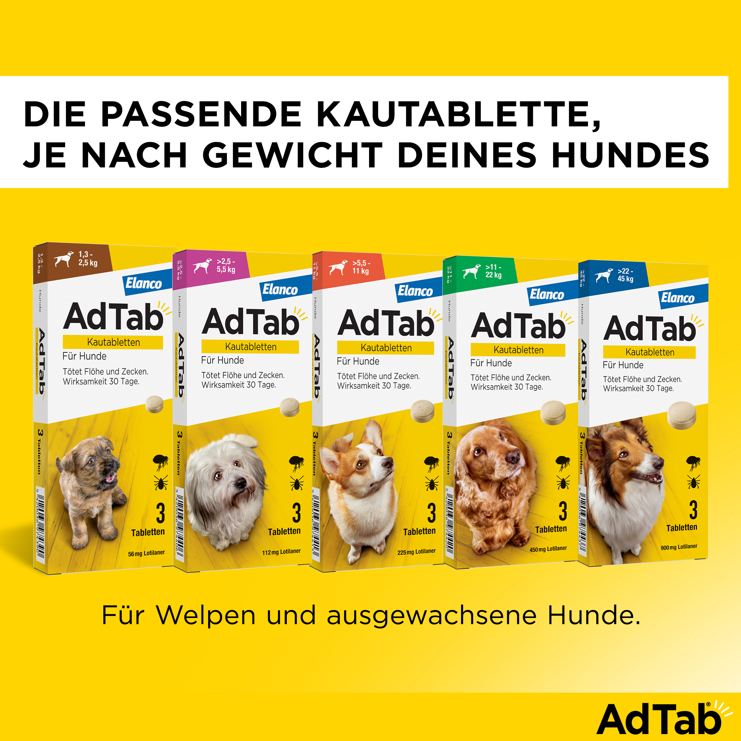 ADTAB 225 mg Kautabletten für Hunde >5,5-11 kg