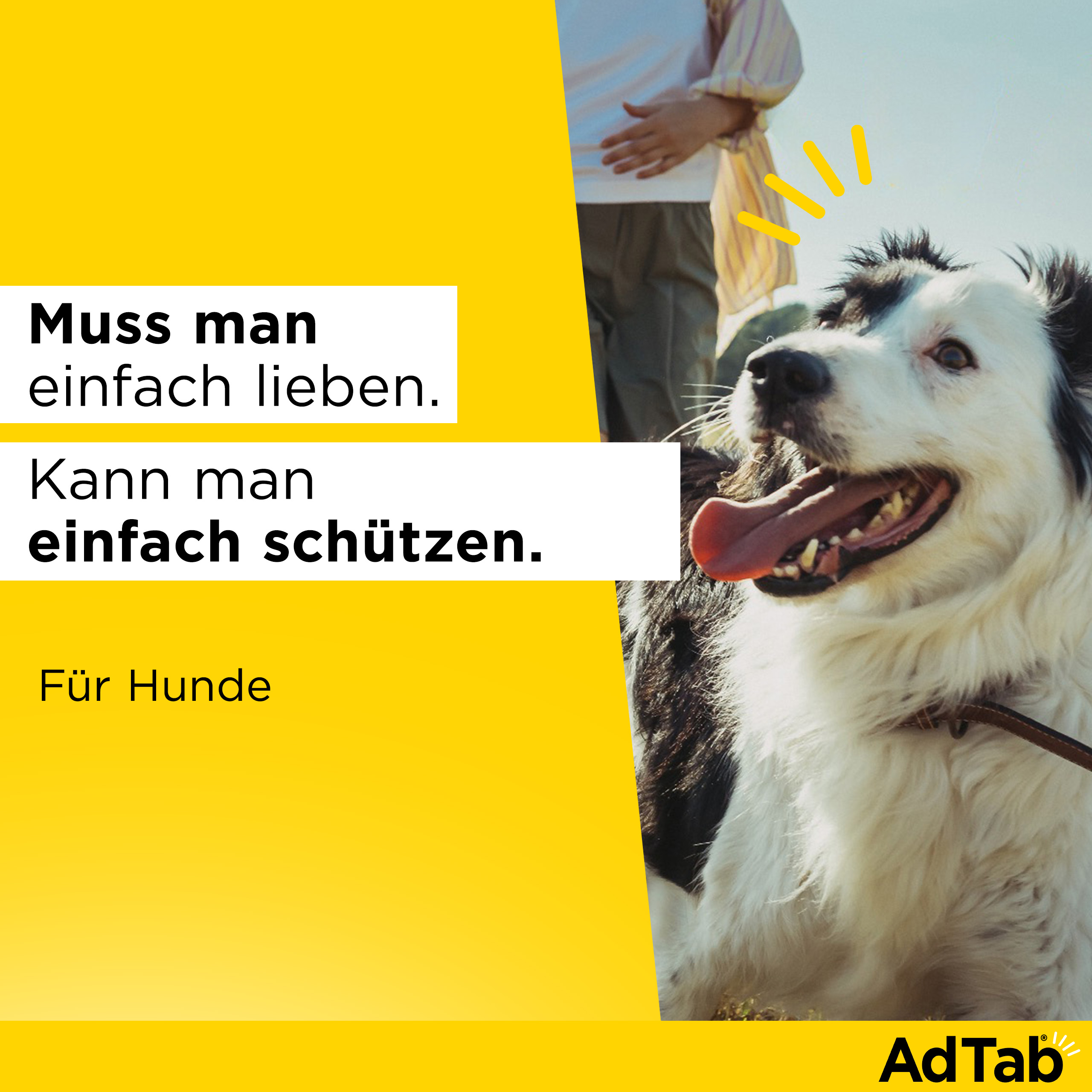 ADTAB 450 mg Kautabletten für Hunde >11-22 kg