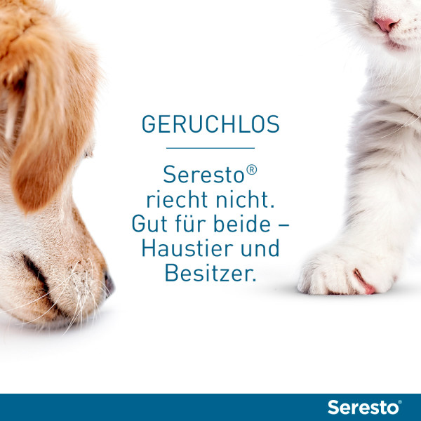 SERESTO Halsband f.Katzen