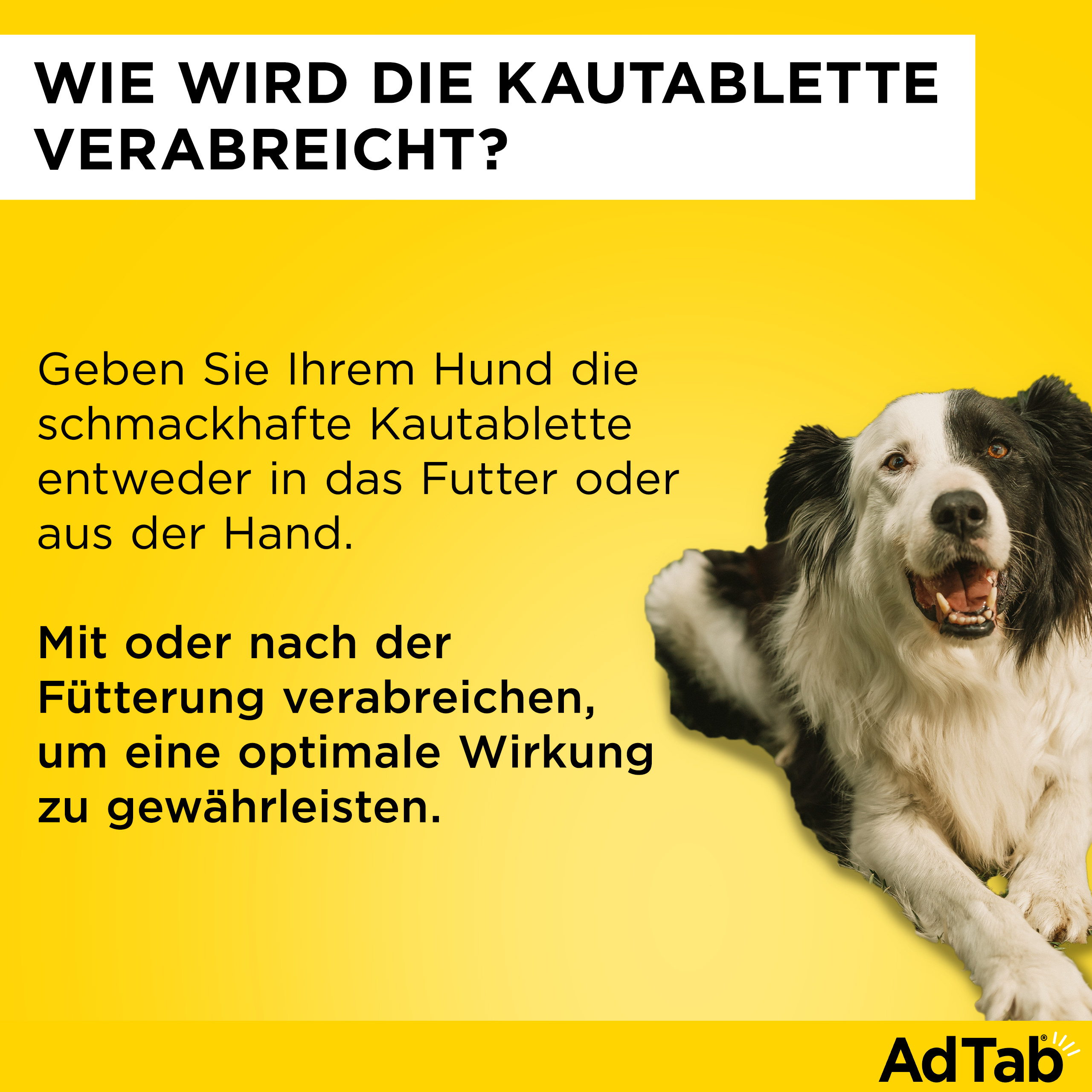 ADTAB 450 mg Kautabletten für Hunde >11-22 kg